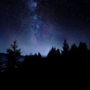 Meet your Posher, Daniela